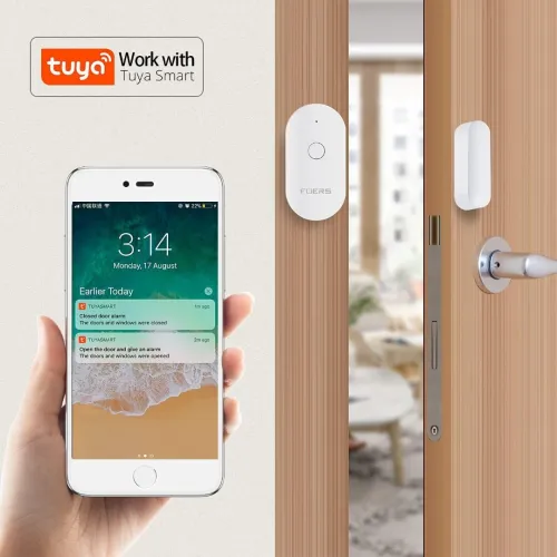 Détecteur dOuverture WiFi Capteur Magnétique pour Porte et Fenêtre