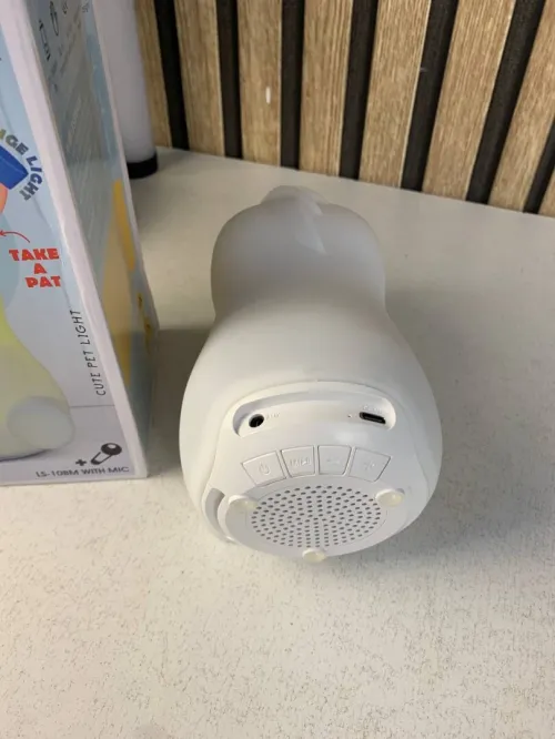 Haut-Parleur Enfant Licorne avec Micro Sans Fil  LS-10BM
