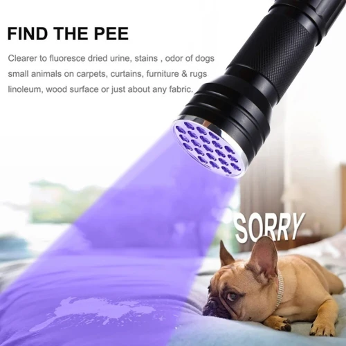 lampe de poche UV 21LED en alliage d'aluminium détecteur des scorpions et faux billet 