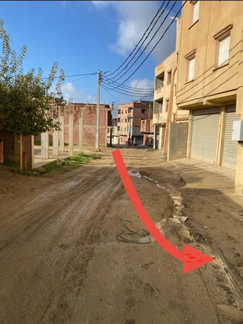 Vente Terrain Boumerdès El kharrouba