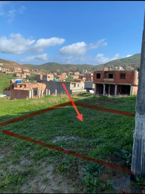 Vente Terrain Boumerdès El kharrouba