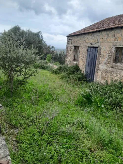 Vente Terrain Tizi Ouzou Freha