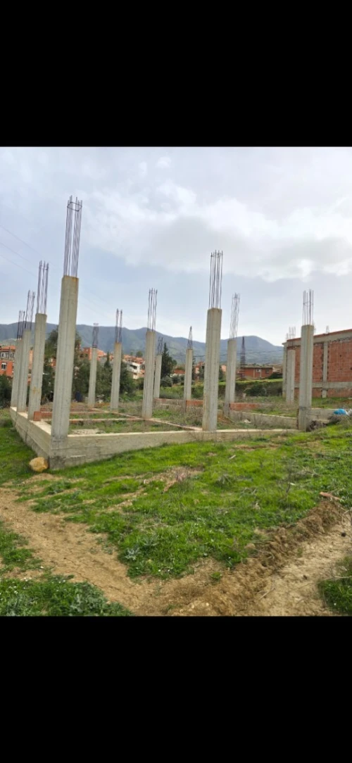 Vente Terrain Blida Ain romana