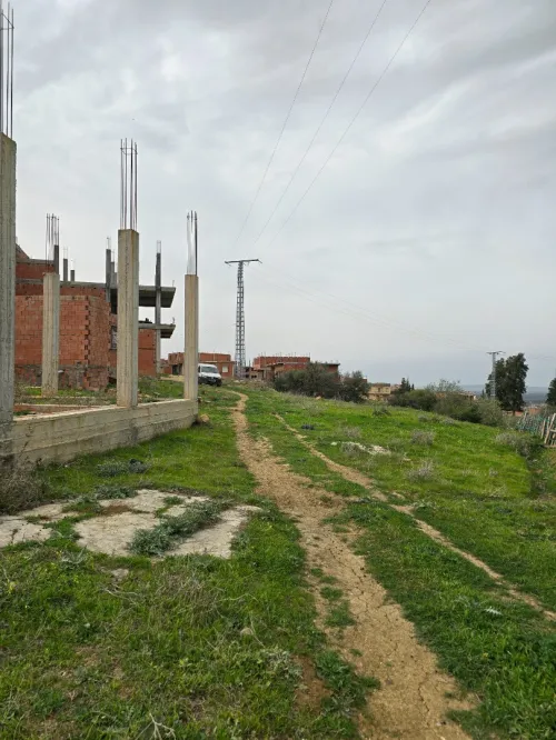 Vente Terrain Blida Ain romana