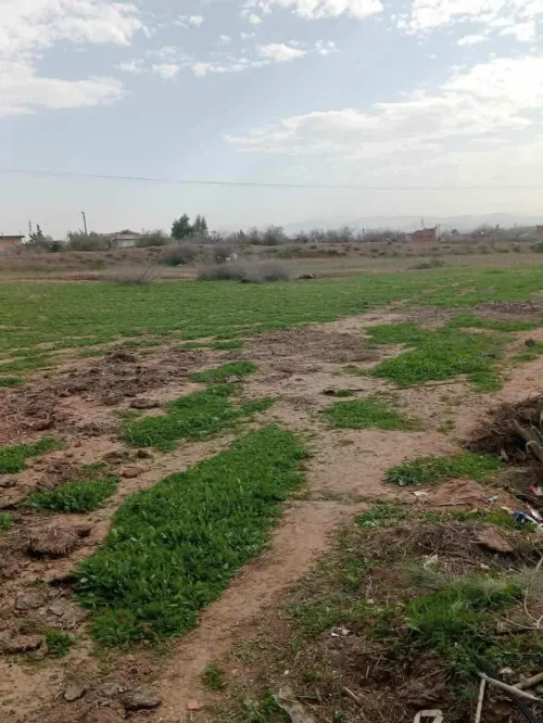 Vente Terrain Chlef Ouled fares