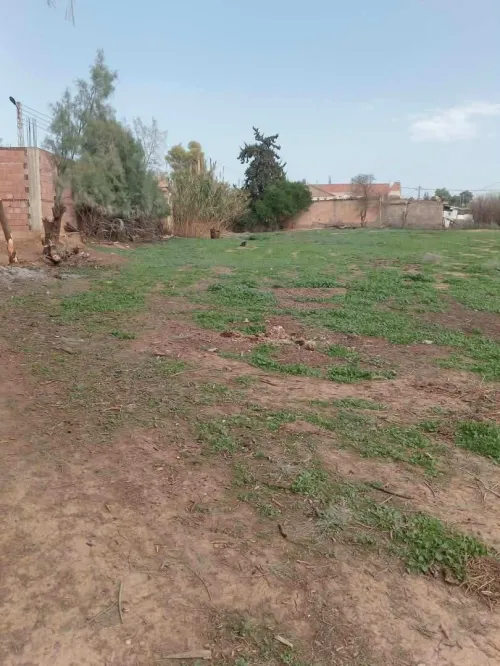 Vente Terrain Chlef Ouled fares