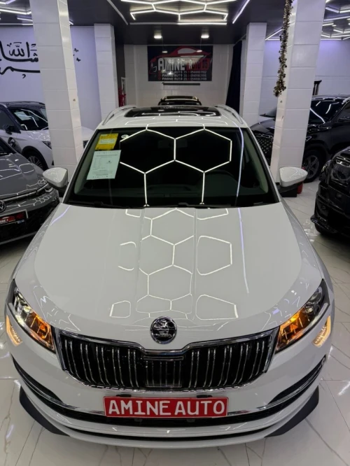 Skoda Karoq 2025 luxury
