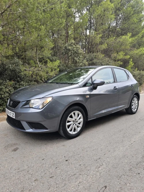 Seat Ibiza 2017 Sol