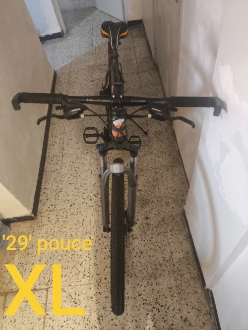 Velo HAM VTT ML210 XL '29 pouce
