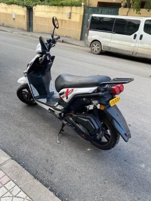 Okinoi Okinoi 2020