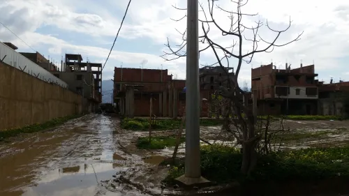Vente Terrain Blida Larbaa