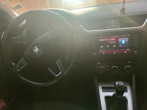 Skoda Octavia 2019 Clever
