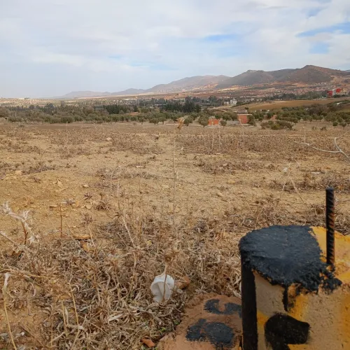 Vente Terrain Tlemcen Chetouane