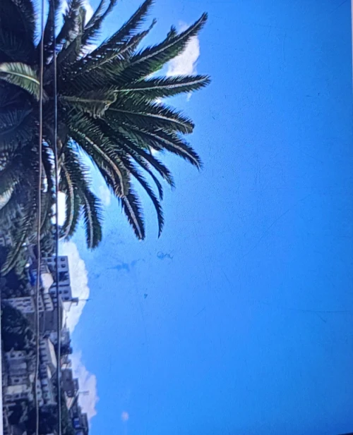 Vente Appartement F3 Alger Sidi mhamed