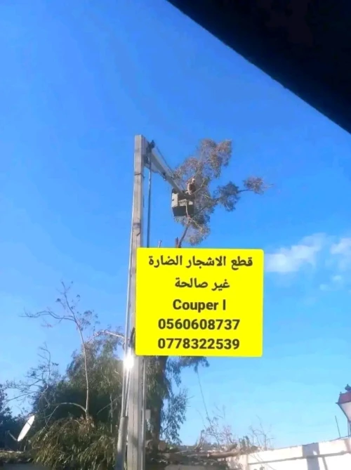 قطع الاشجار