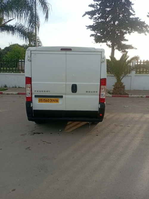 Peugeot Boxer caniche 