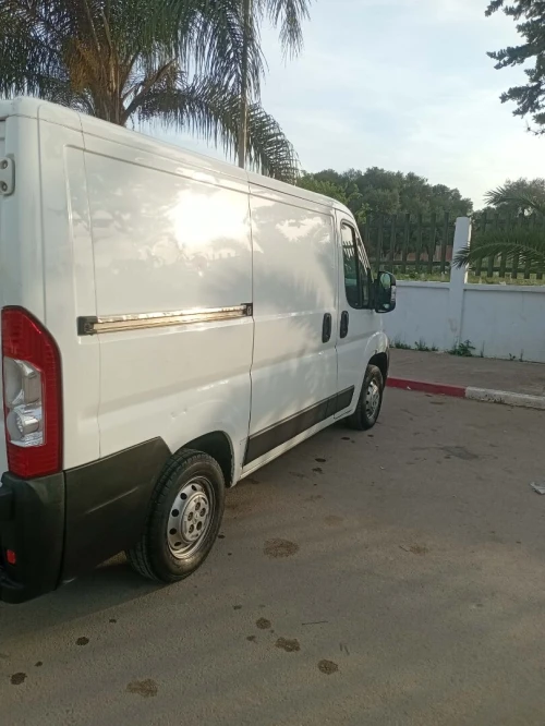 Peugeot Boxer caniche 