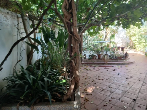 Location Appartement F3 Alger Rouiba