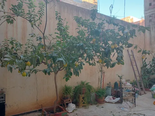 Vente Villa Saïda Saida
