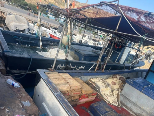 Bateau Spadonier 12m