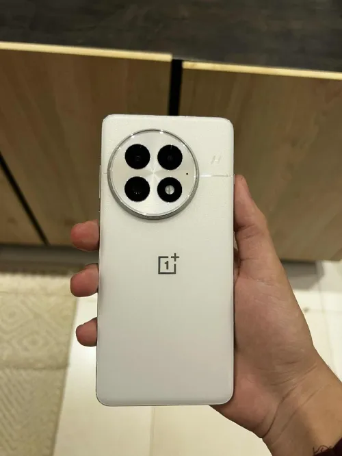 One plus One plus 13