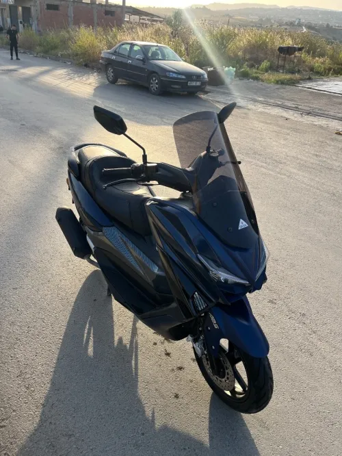 Okinoi Max ts 200 2024