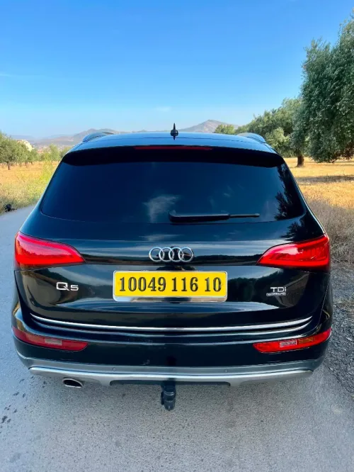 Audi Q5 2016 Off Road