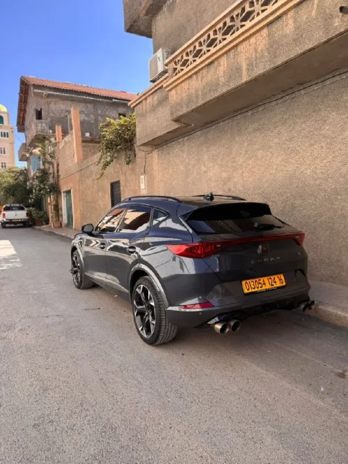 Cupra  Ateca 2024 VZ Tribe Edition