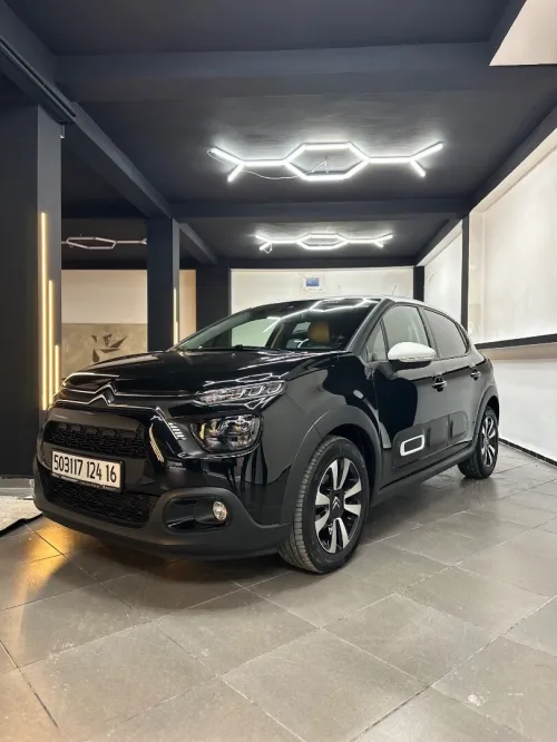 Citroen C3 2024 PaC chin