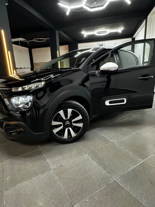 Citroen C3 2024 PaC chin