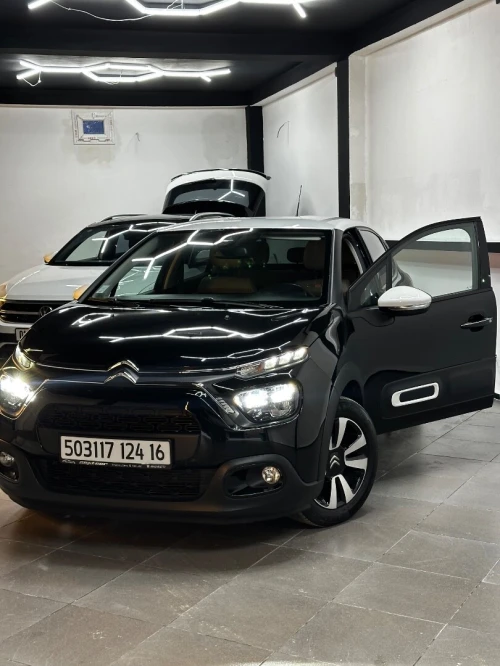 Citroen C3 2024 PaC chin