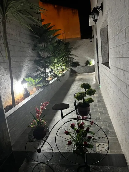 Location Appartement F3 Alger Douera