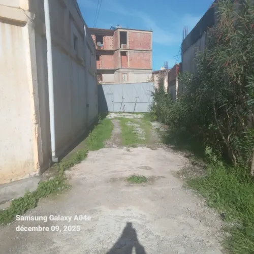 Vente Terrain Blida Ben khellil