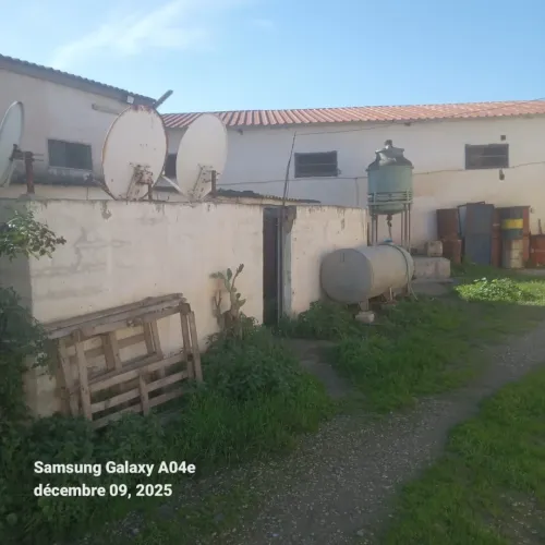 Vente Terrain Blida Ben khellil