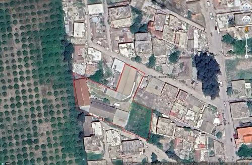 Vente Terrain Blida Ben khellil