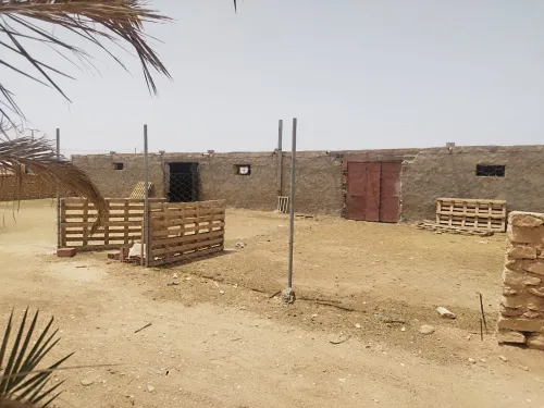 Vente Terrain Agricole Biskra Ourlala