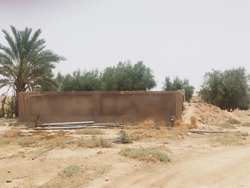 Vente Terrain Agricole Biskra Ourlala