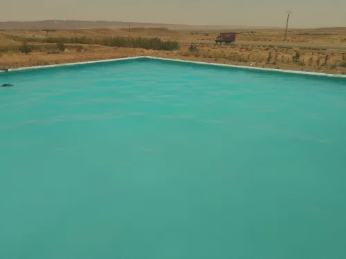 Vente Terrain Agricole Laghouat Laghouat