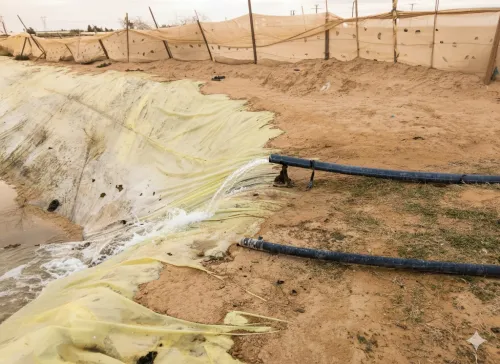 Vente Terrain Agricole Biskra Ain naga