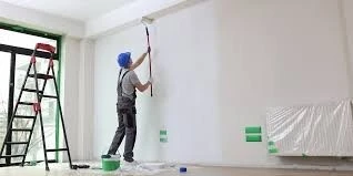 Travaux de Peinture Maisons et Usines
