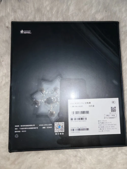 Vivo X300 pro