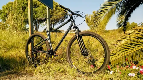 VTT 29" Pouces Cadre Taille L Roues 29x2.25