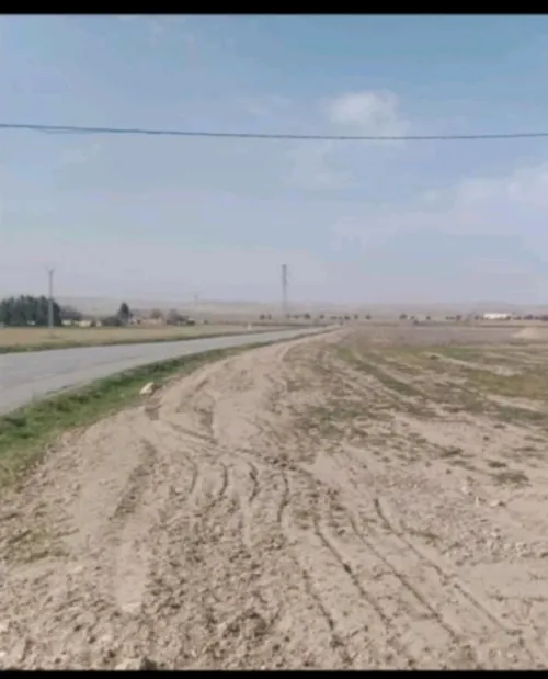 Vente Terrain Guelma Tamlouka