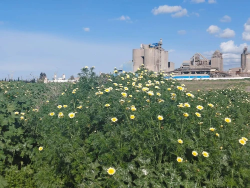 Vente Terrain Blida Meftah