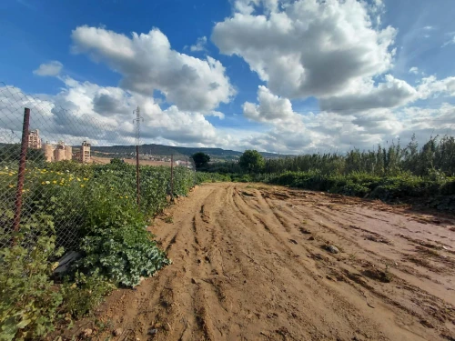 Vente Terrain Blida Meftah