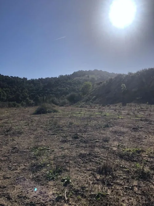Vente Terrain Blida El affroun