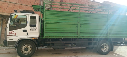 Isuzu FTR 2010