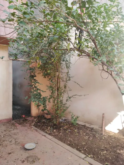 Vente Villa Bouira Bouira