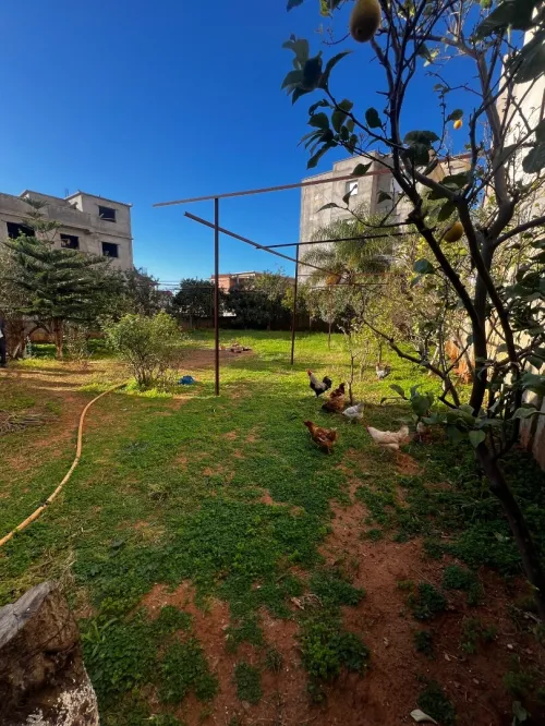 Location Villa Boumerdès Boumerdes