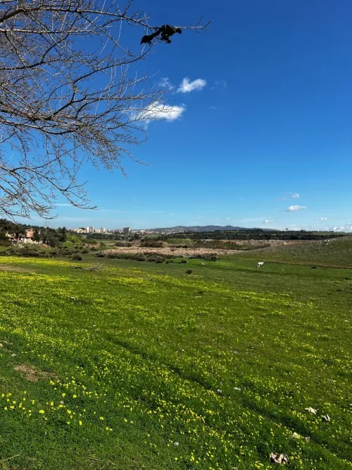Vente Appartement F3 Boumerdès Corso